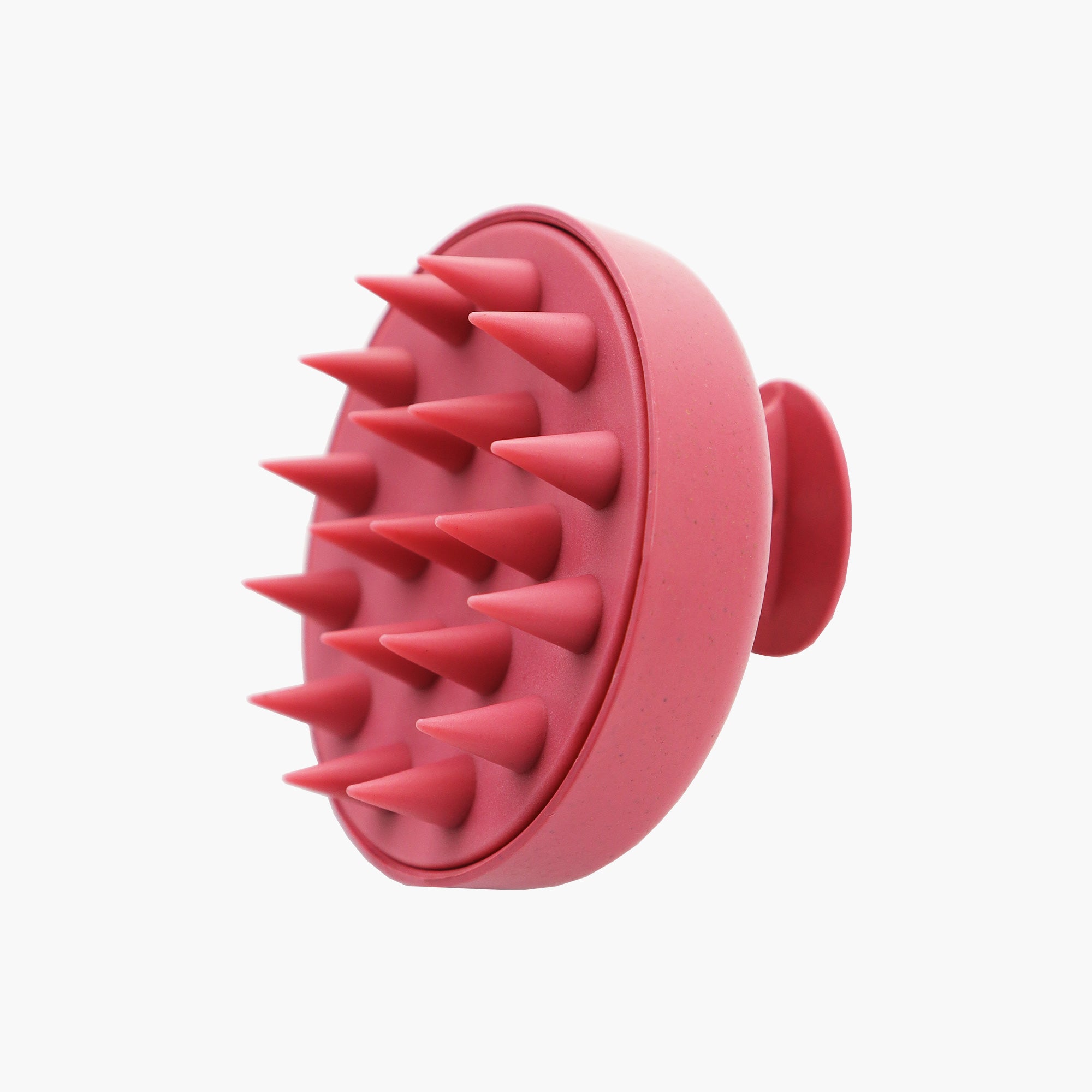 CEPILLO DE CHAMPÚ SALMÓN