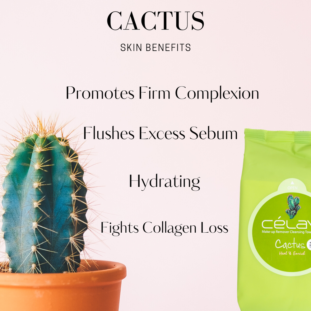 
                
                    Load image into Gallery viewer, Cactus Makeup Remover Wipes
                
            
